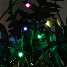 Luxury LED Fairy Light Set